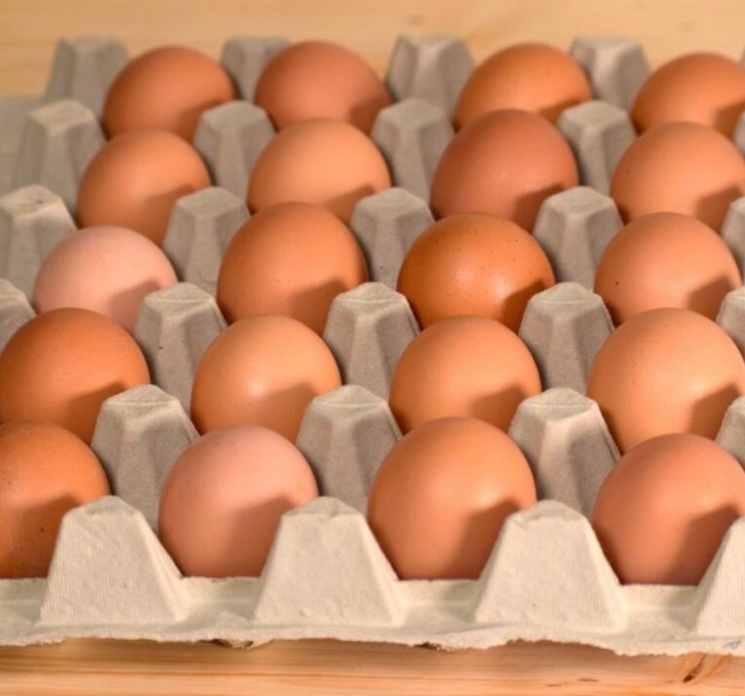 Domáce vajíčka - 2