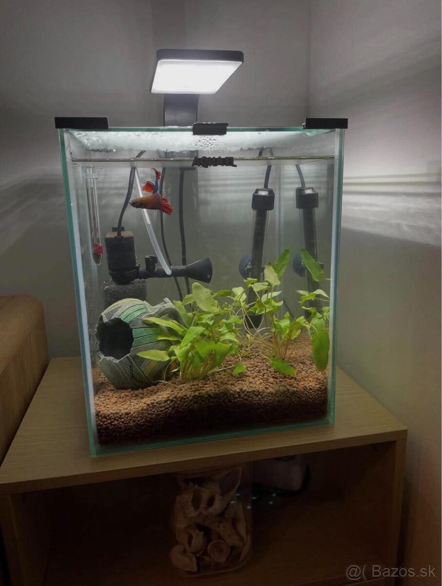 aquarium 19 litrov - 2