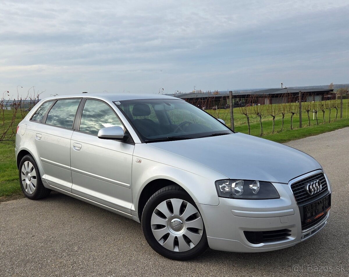 Audi A3 1.9 TDI 77KW/105 koní R.V.05/2006 - 2