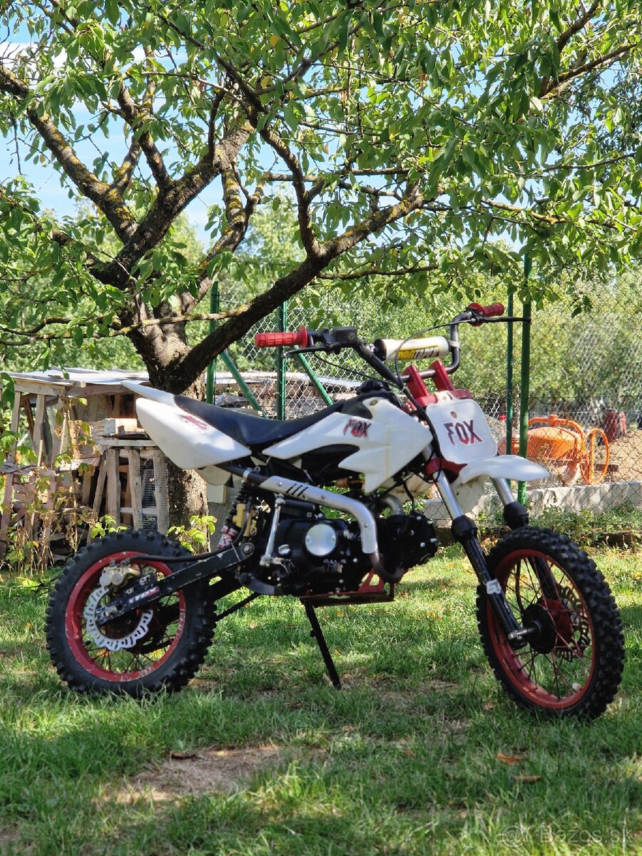 Pitbike 125 14/12 - 2