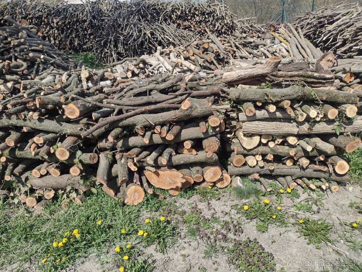 Palivové drevo - 2