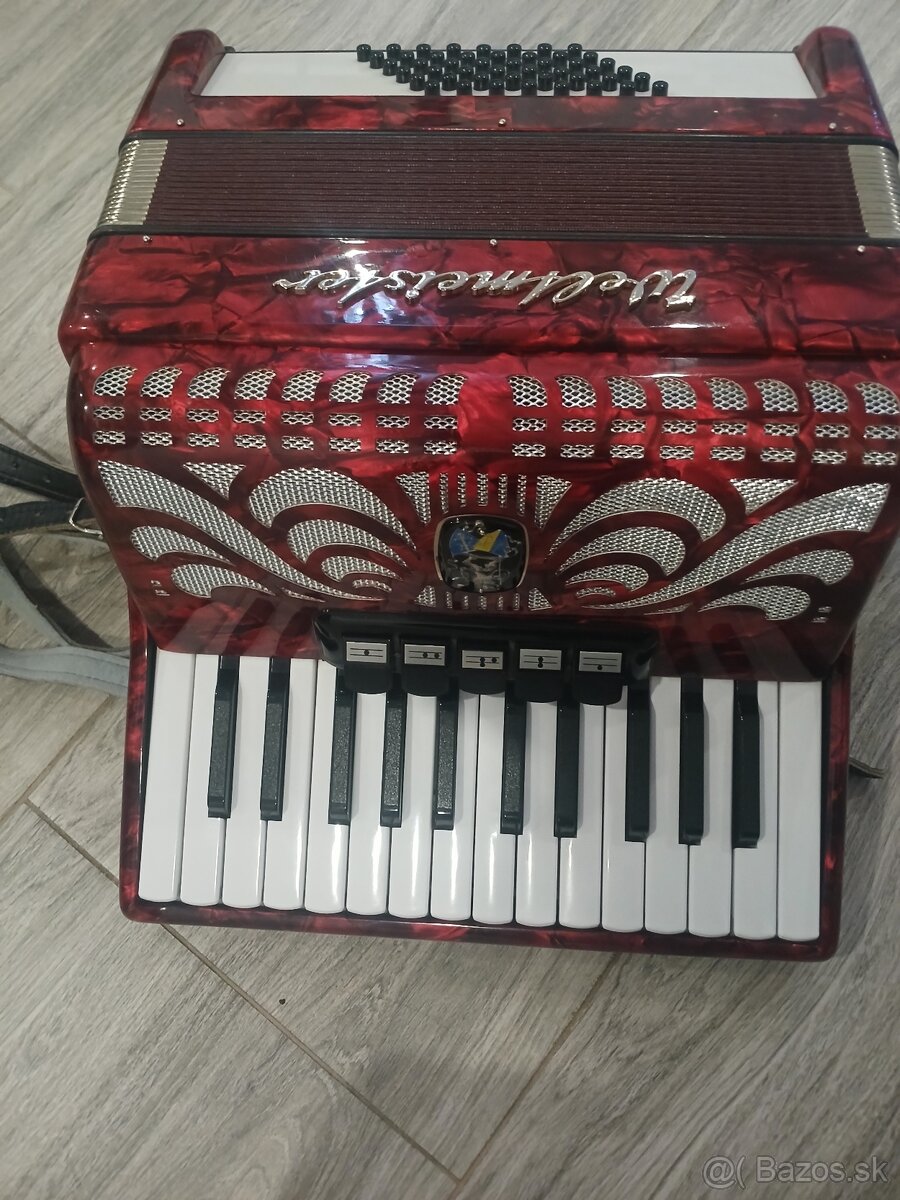 Akordeon Weltmeiter - 2