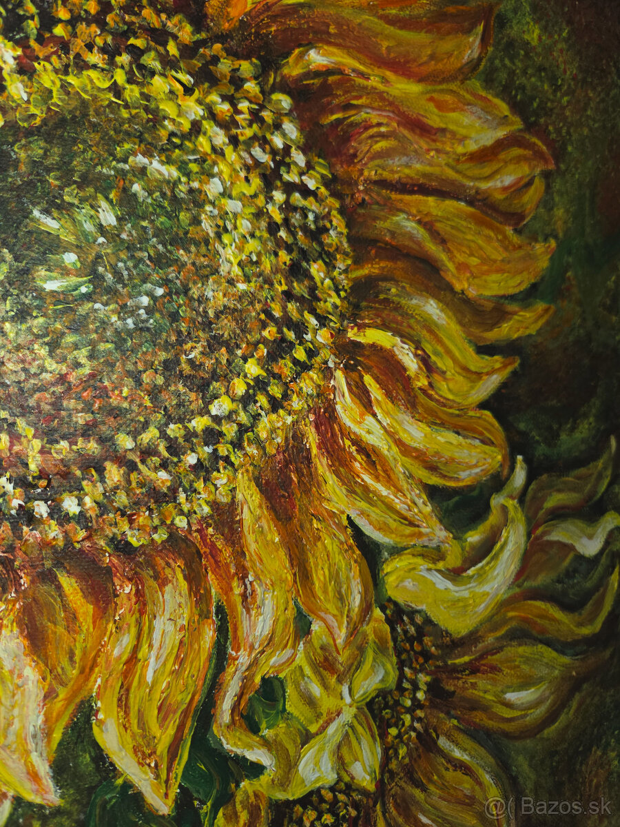 Obraz Slnečnice - 2