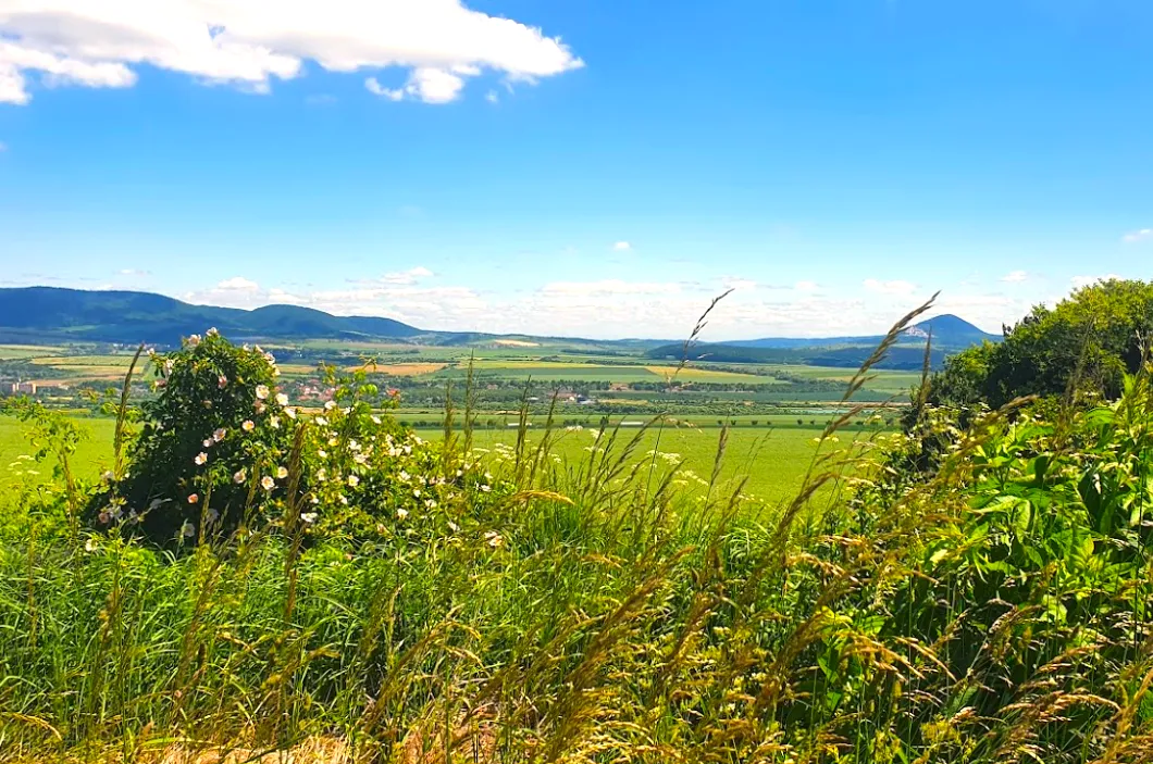 Ražňany – 2.150 m2 PÔDA a LES - 2