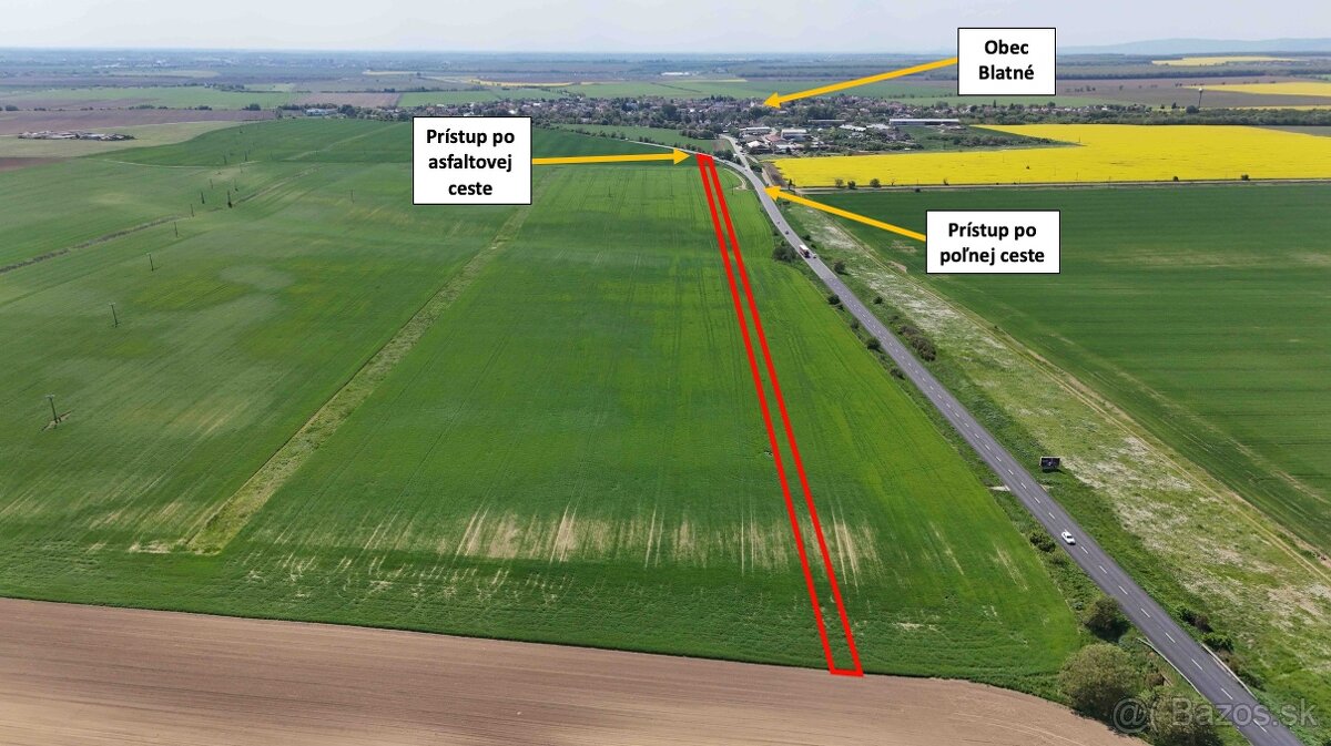 Blatné – 7.200 m2 ORNÁ PÔDA 1/1 s prístupom od cesty - 2