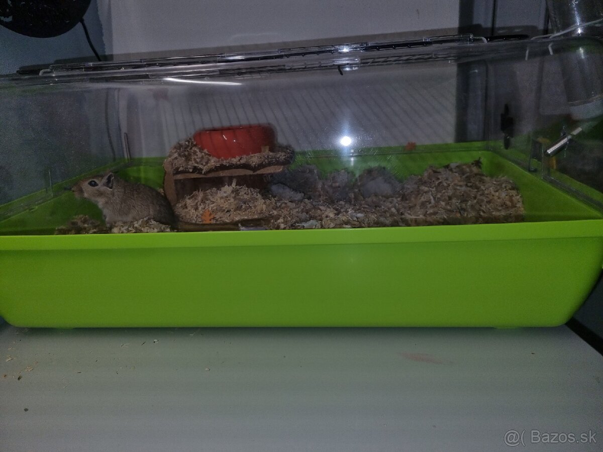 Klietka pre hlodavce - 2