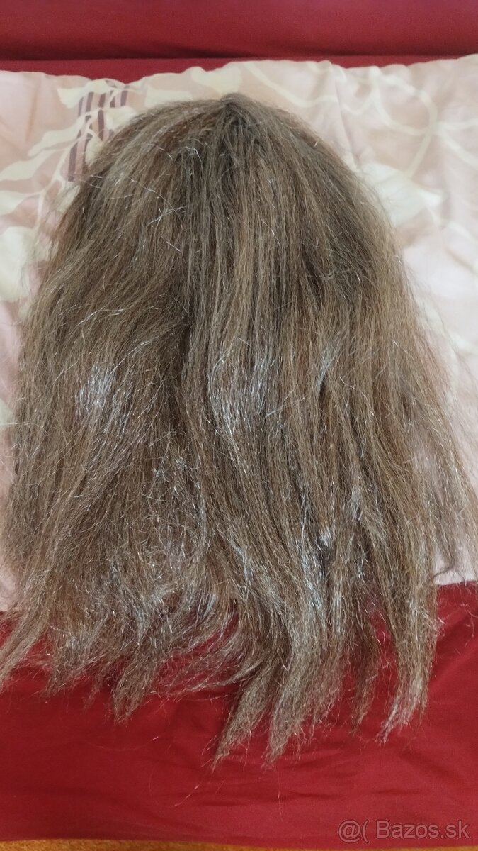 Brada a parochňa Viking na karneval - 2