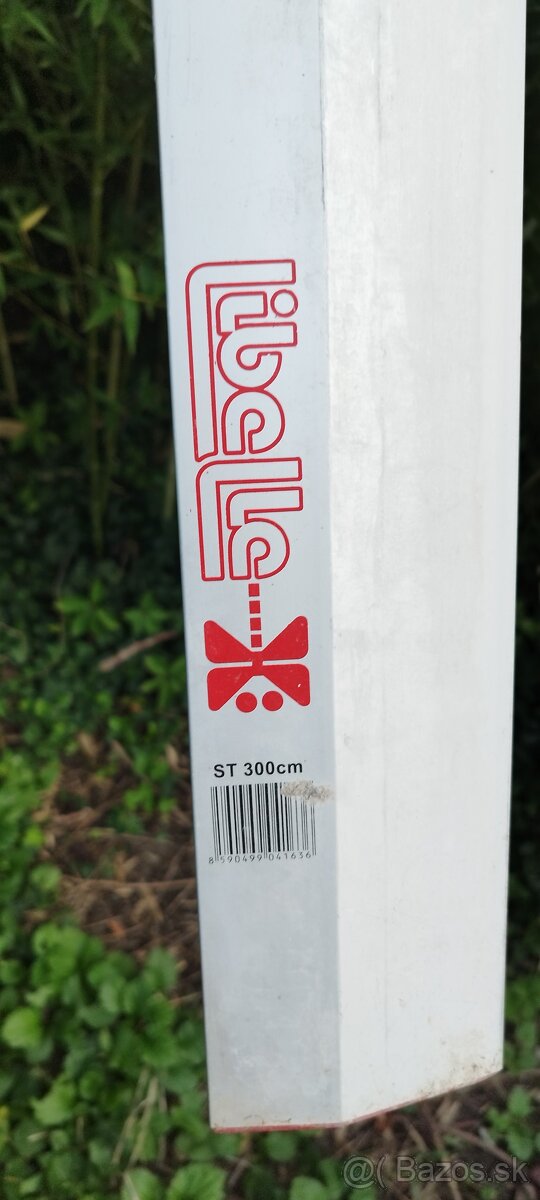 Mrazuvzdorný bambus - 2