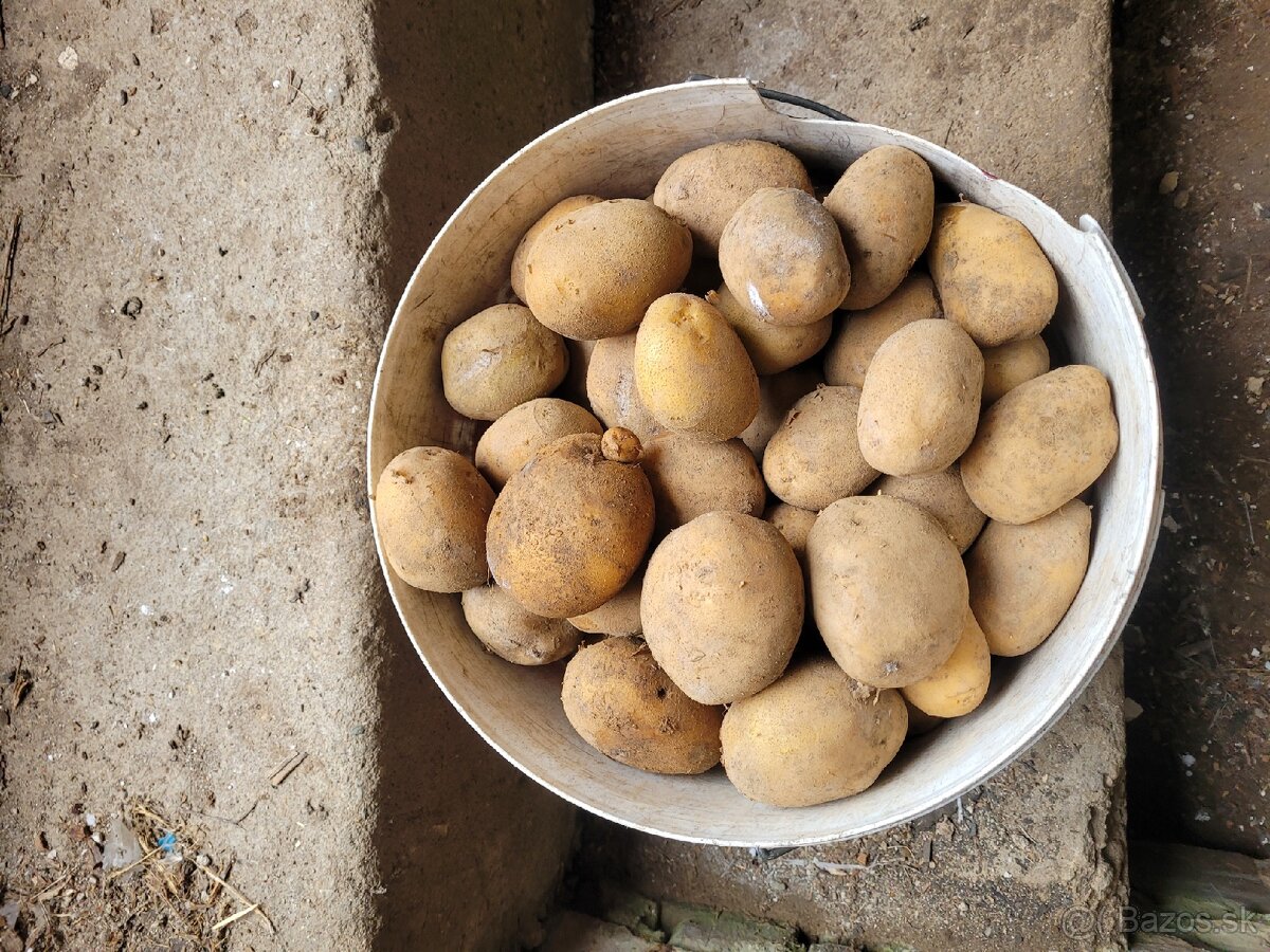 Zemiaky - 2