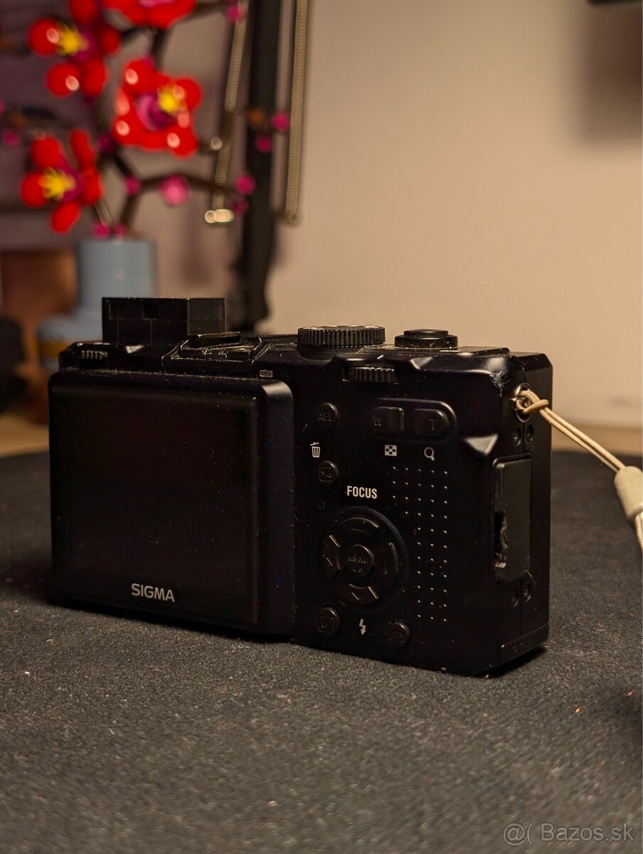 Sigma DP1 - 2