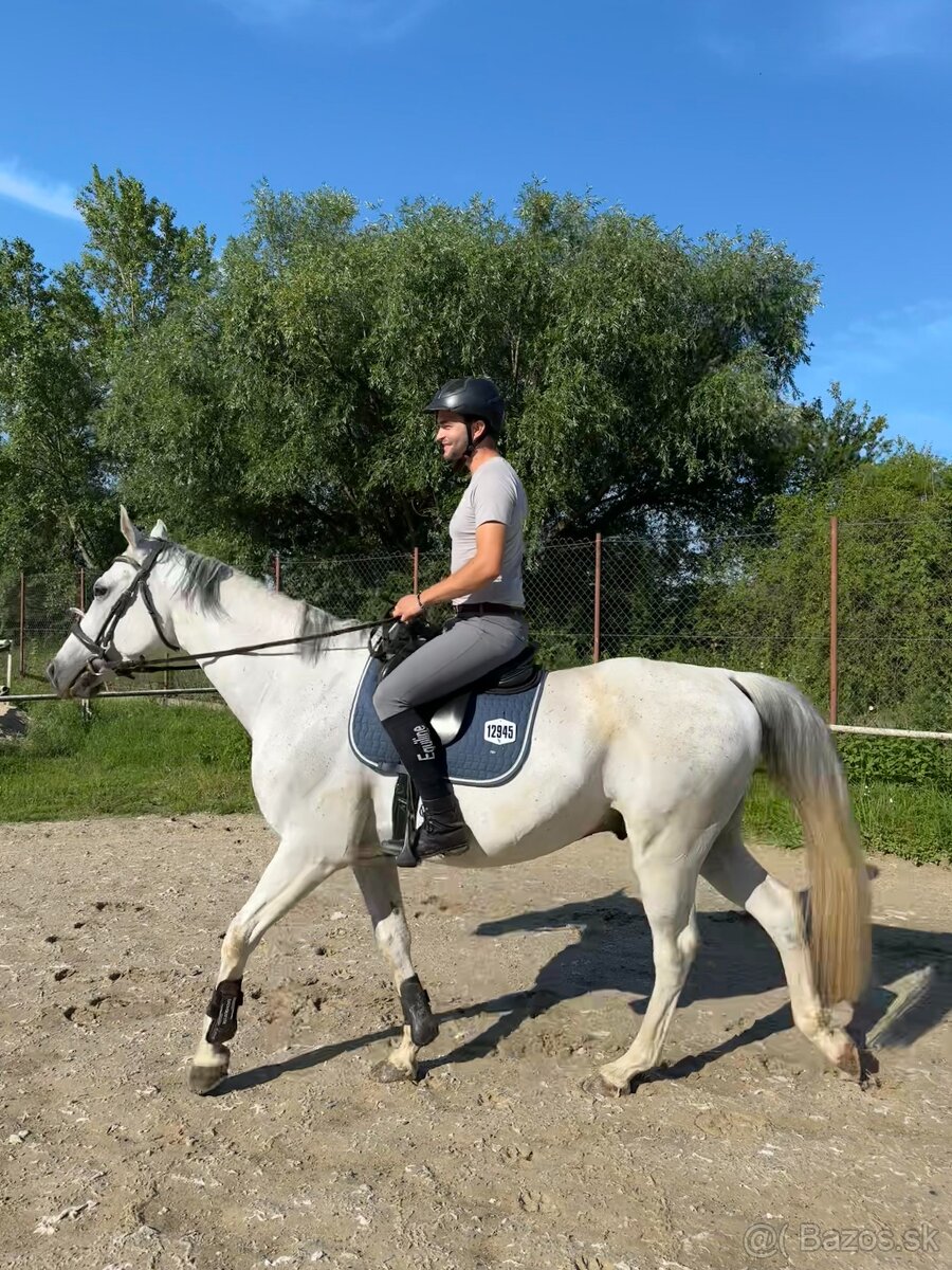 8.r valach Prince, skoky 100cm, vychadzky - 2