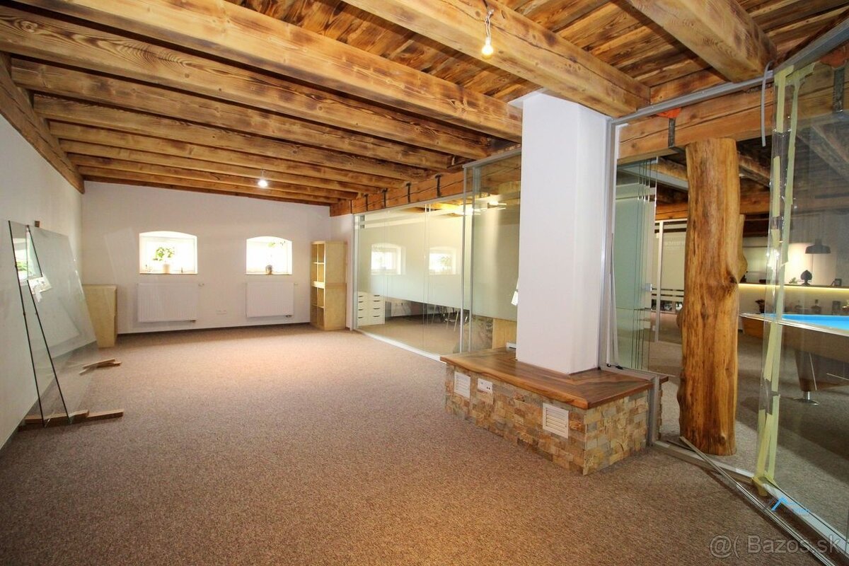 prenájom REPREZENTATÍVNY priestor 34m2 Partizánske - 2