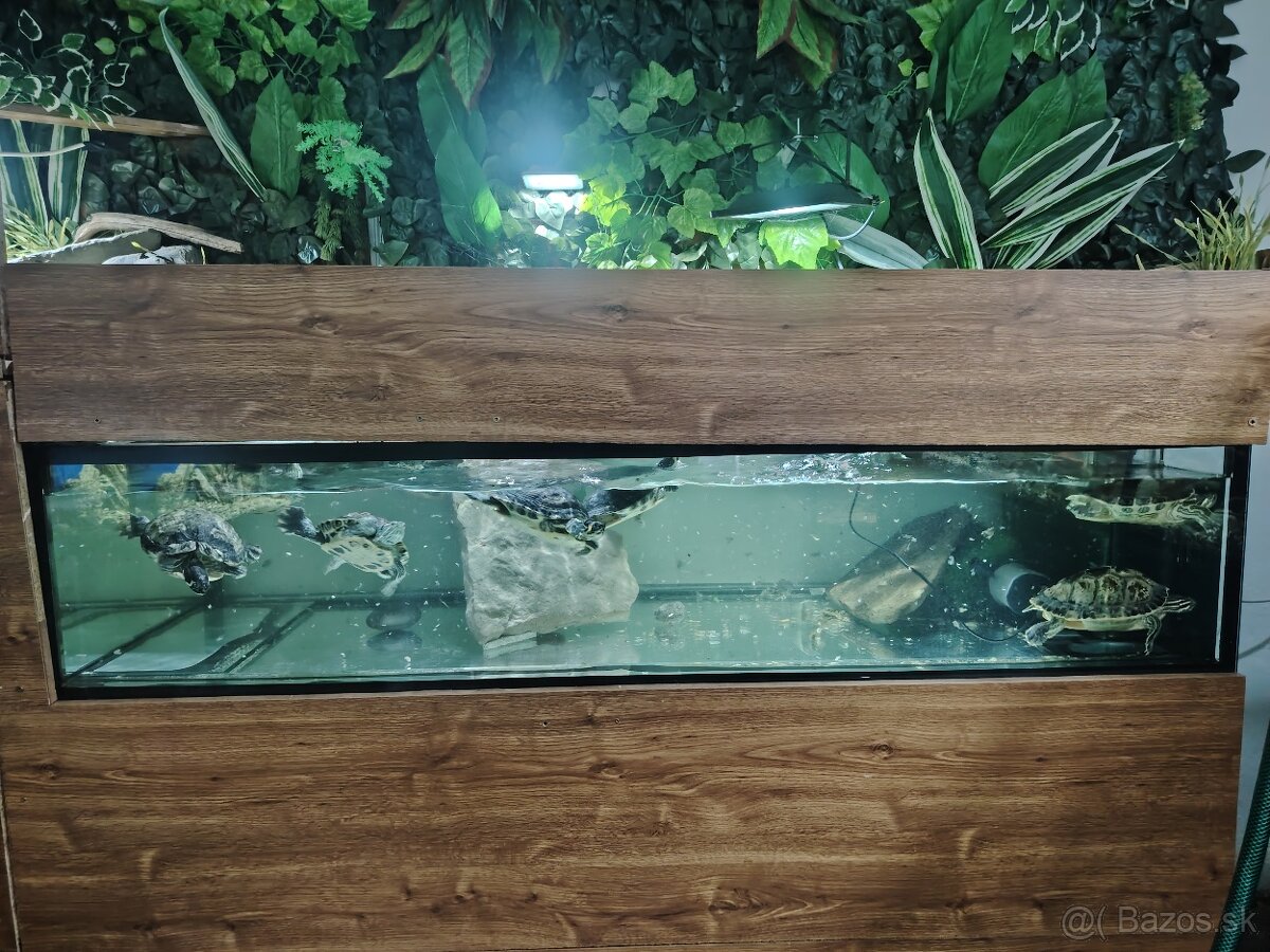 Predám akvárium - 2