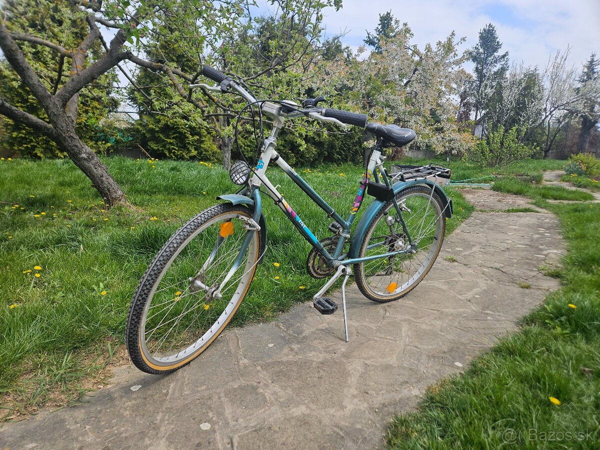 Mestsky bicykel - 2
