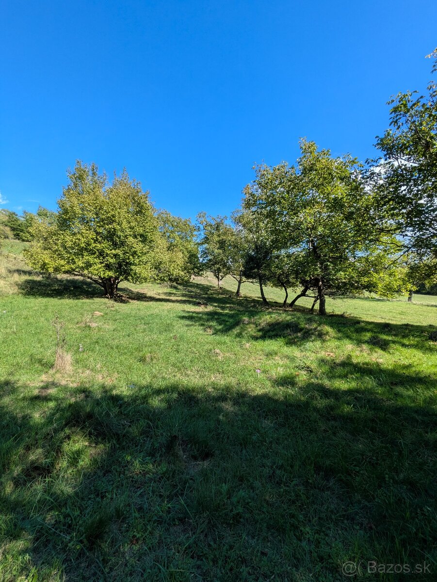 Predaj rodinného domu na polosamote s veľkým pozemkom - 2