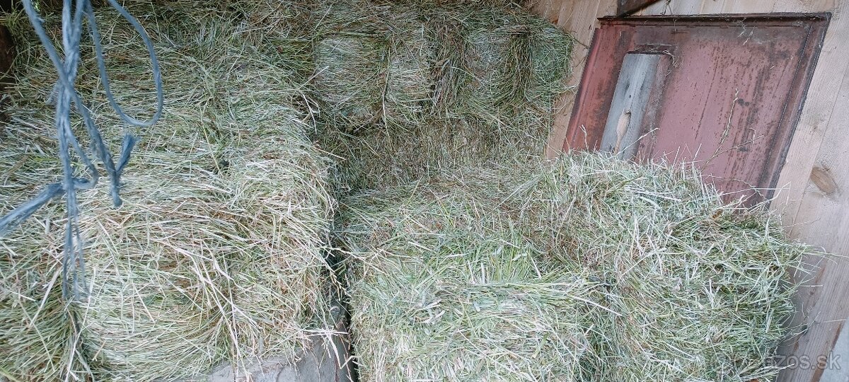 Predám malé balíky slamy a sena - 2