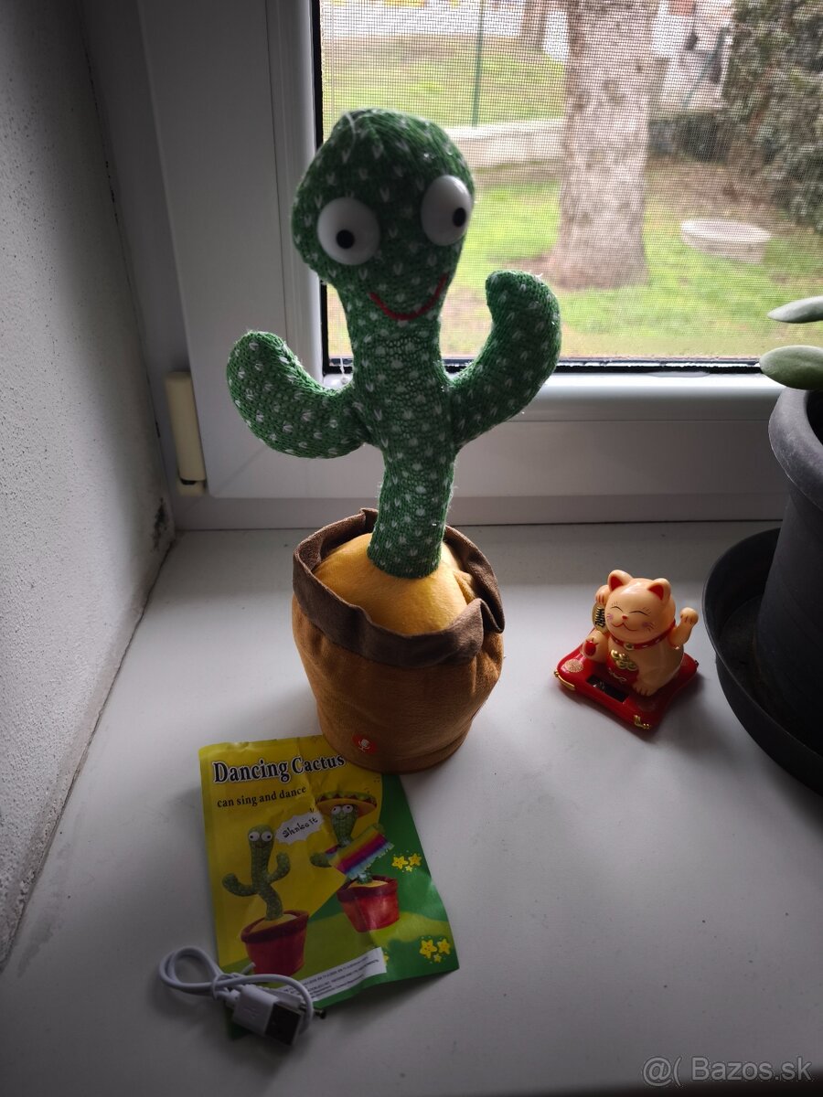 Spievajúci kaktus - 2