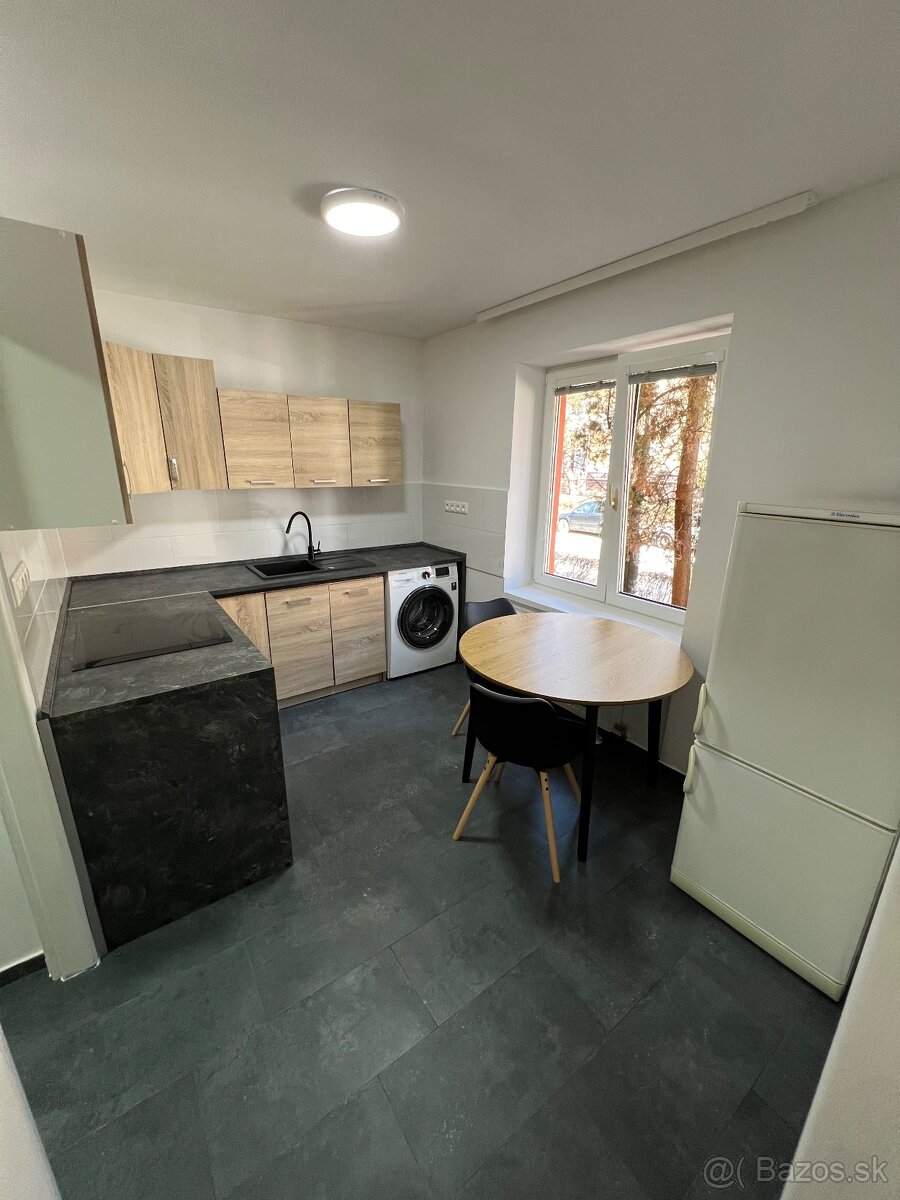 Prenajmem 1-Izbový byt na Lanskej - 2