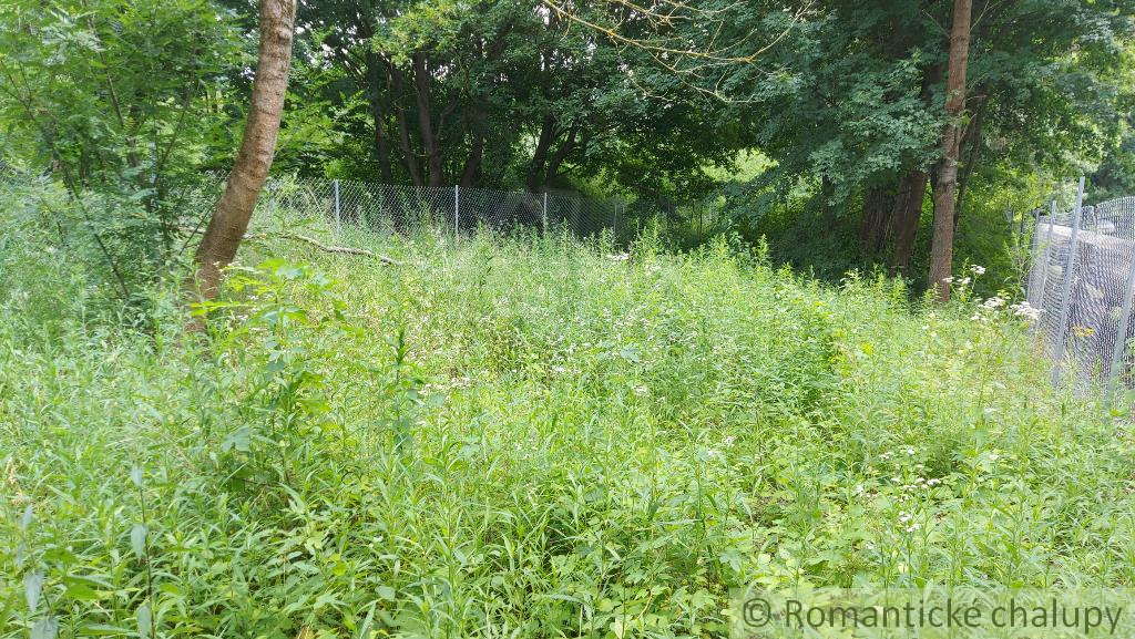 Záhrada pri lesíku na predaj Holíč - 2