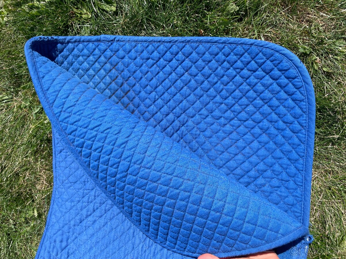 Podsedlovka modrá - 2