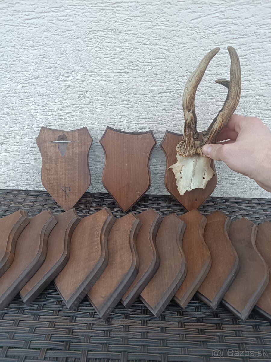 Podložky pod trofeje, pod srnce, štítky - 2