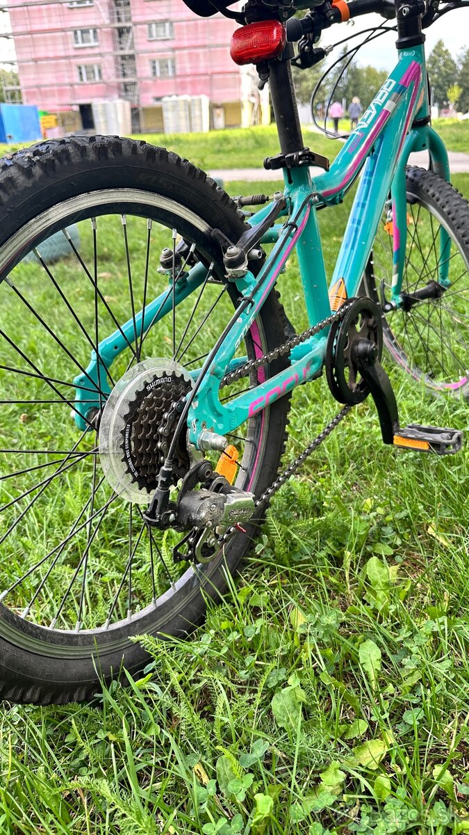 Detský bicykel Focus Reven rockie 20” - 2