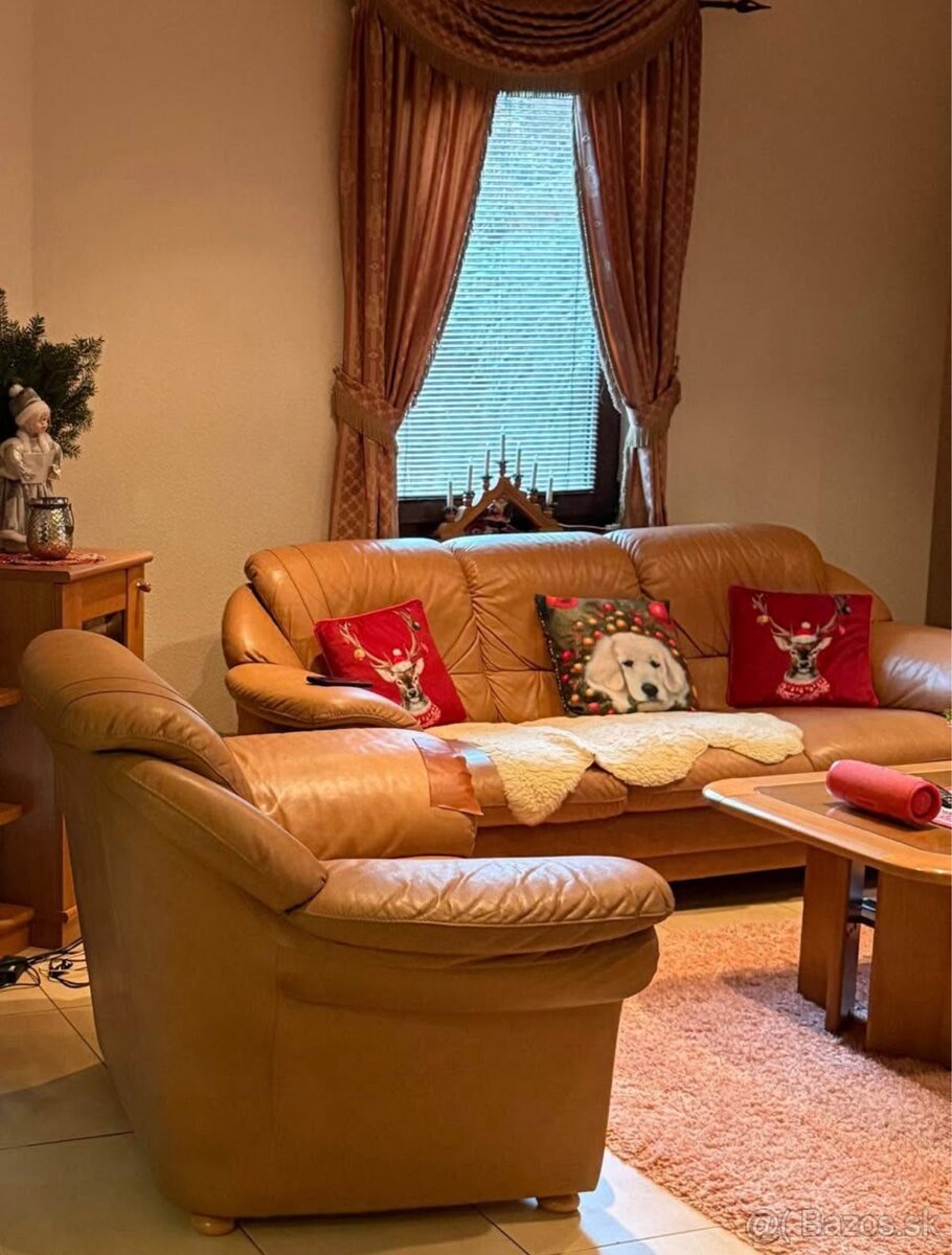 Kožená sedačka - 2