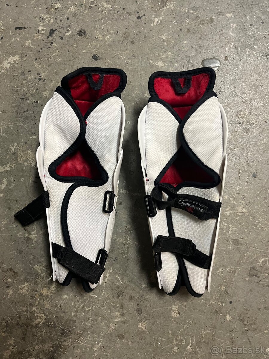 Predam juniorské hokejové holene - 2