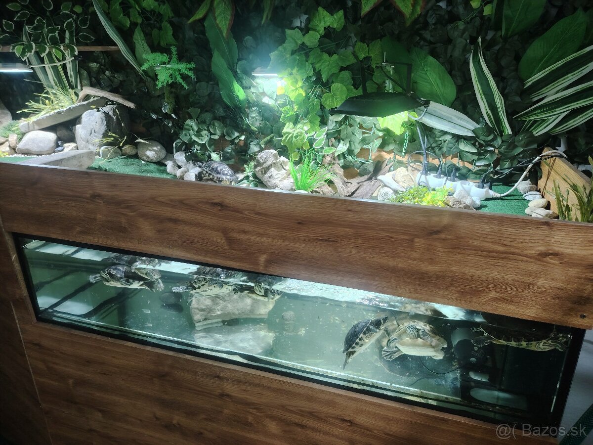 Predám akvárium - 2