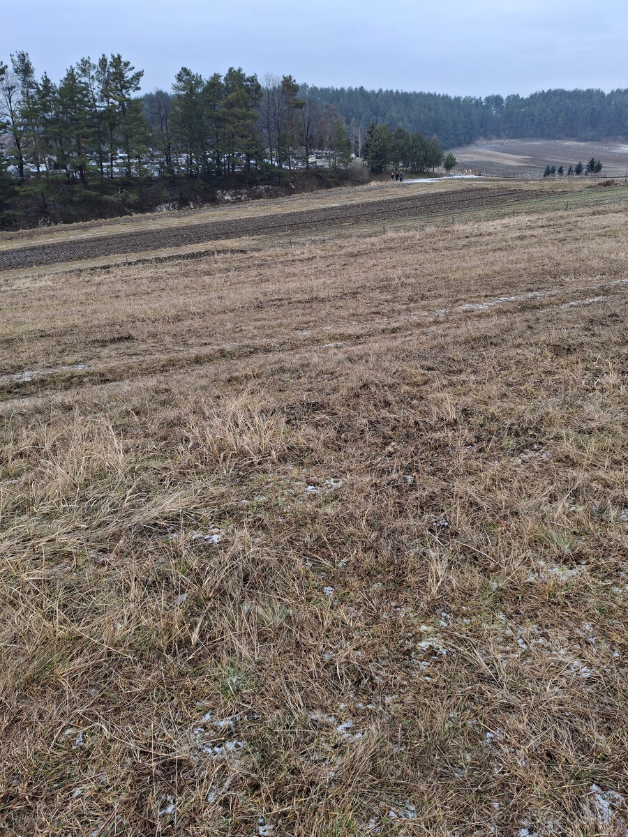 Predaj orná pôda Rajecká Lesná - 2