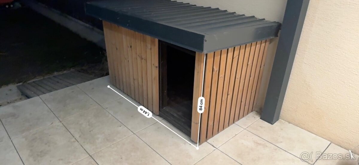 Búda pre psa - 2