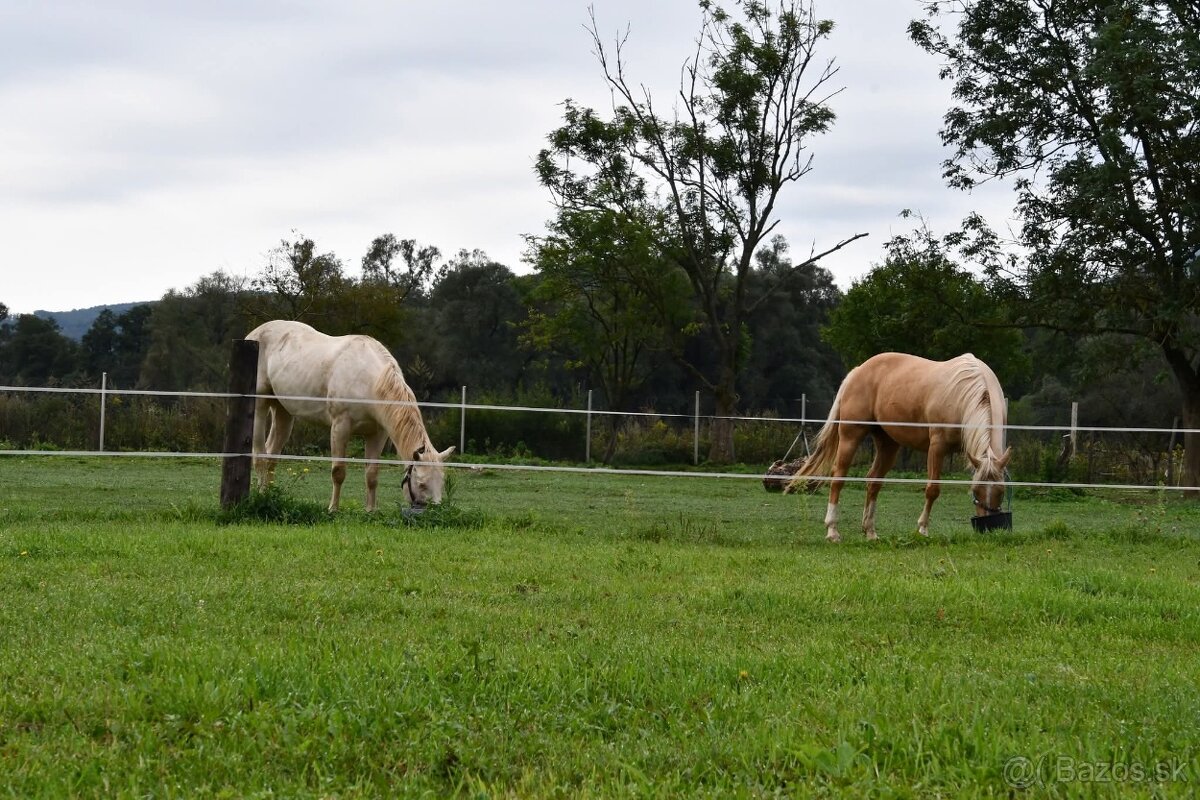 USTAJNENIE / JAZDENIE - 2