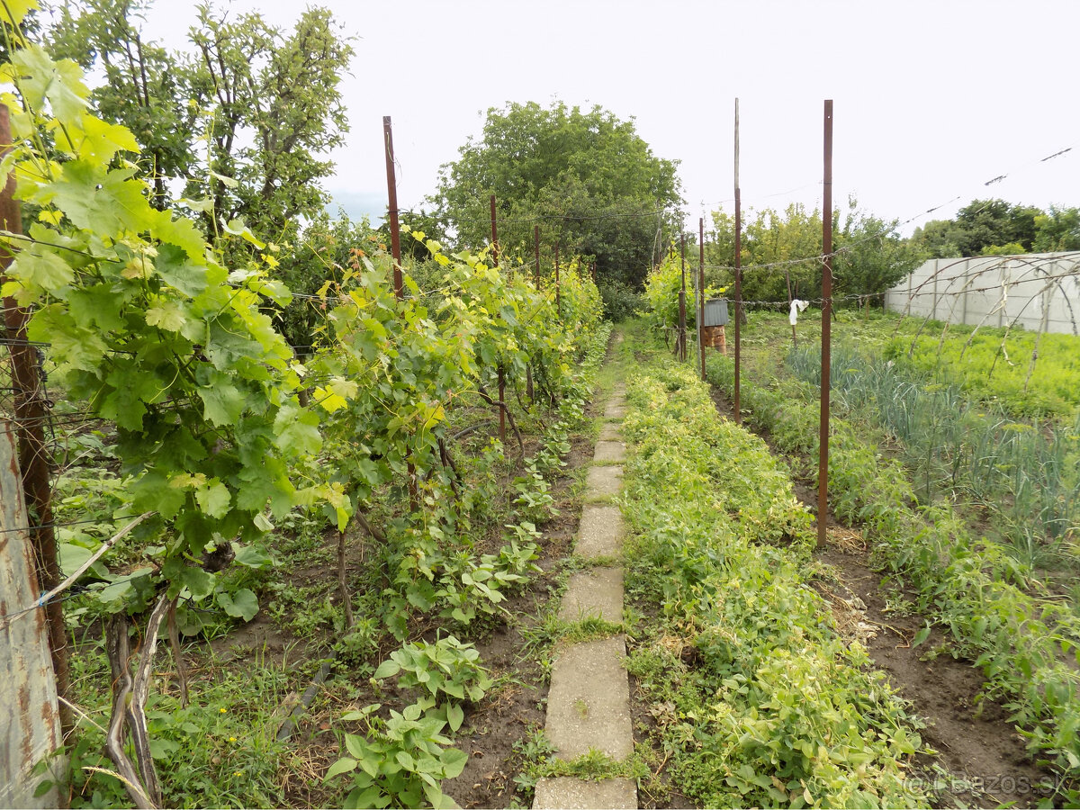 Tehlový 3 izb. dom v obľúbenej vinohradnickej obci Strekov p - 2