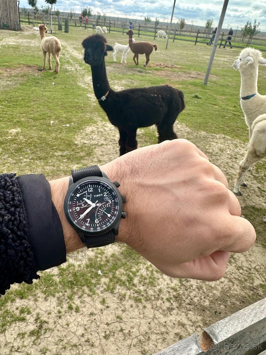 Timex Chrono - Waterbury Flyback Chrono full set + extras - 2