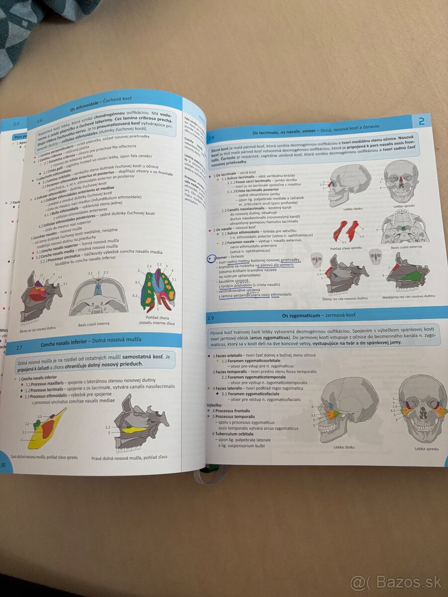 Memorix anatomie slovensky jazyk - 2