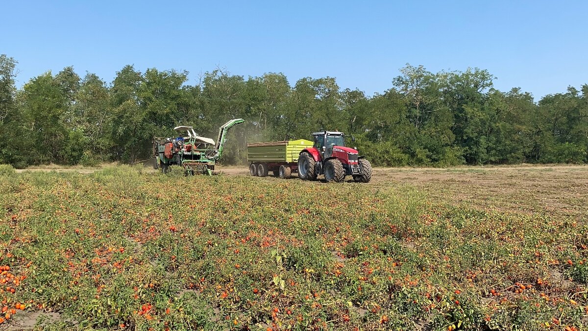 Práca v poľnohospodárstve traktorista - 2