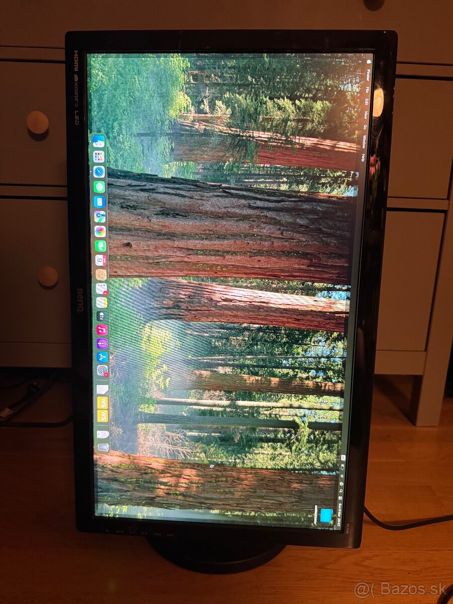 BenQ GL2450 24", 1920 x 1080, : DVI, HDMI, VGA - 2