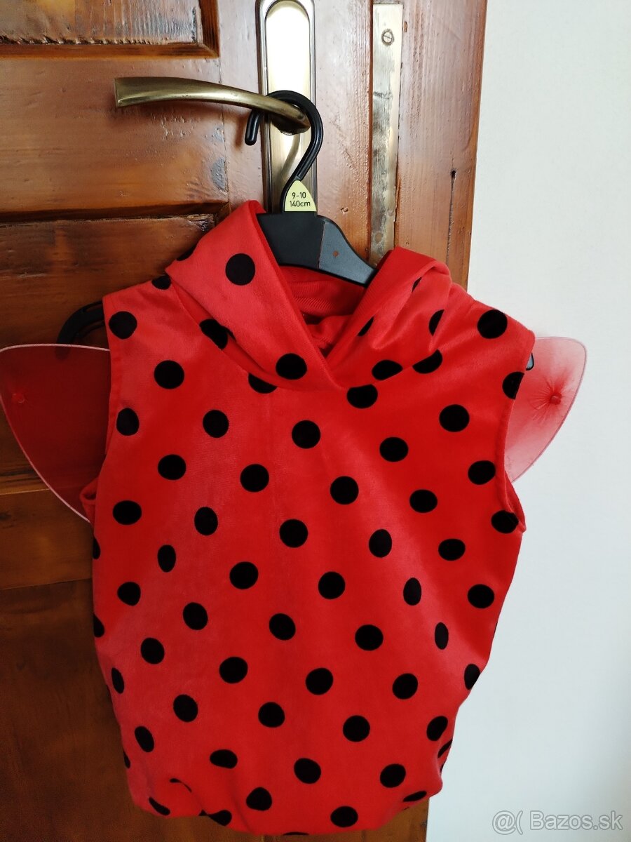 Karnevalový kostým - 2