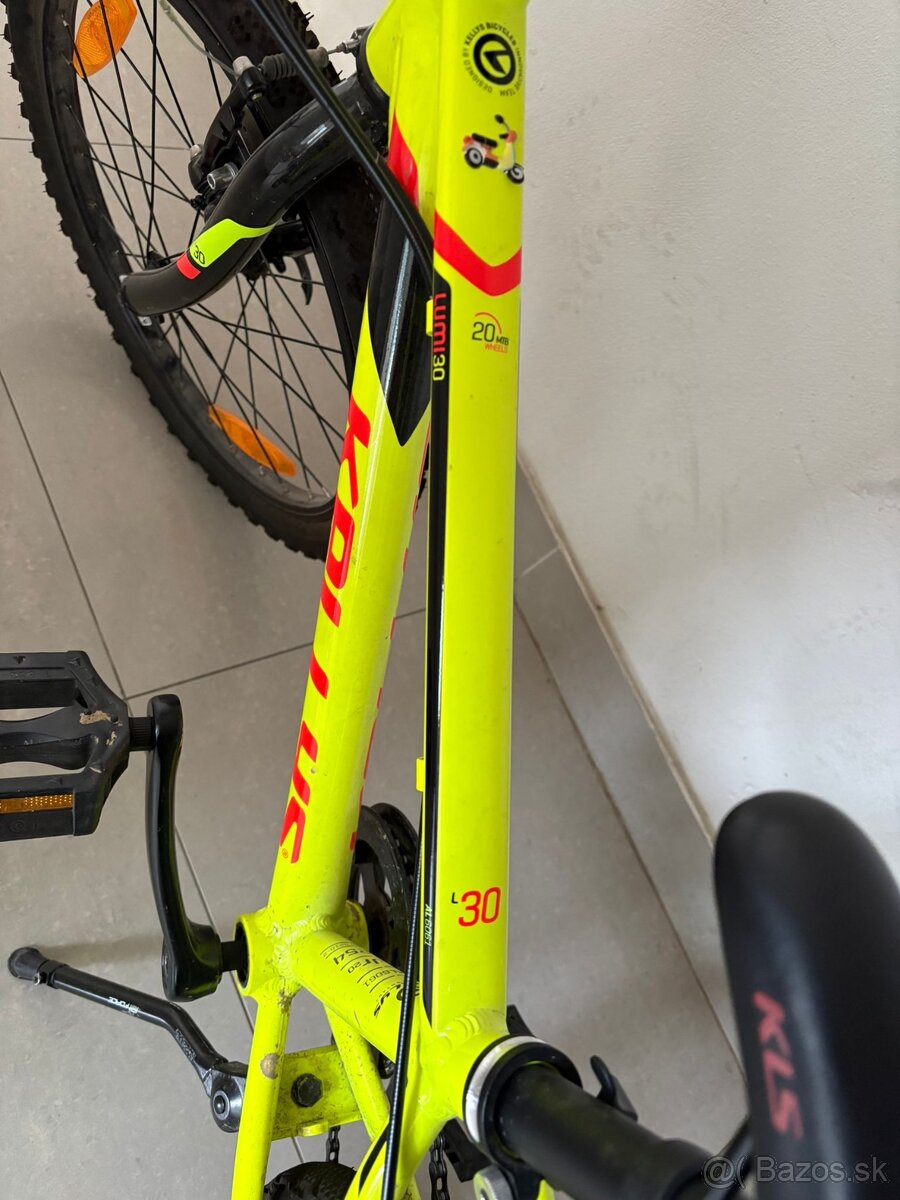 Kelly’s Lumi 30 - 2