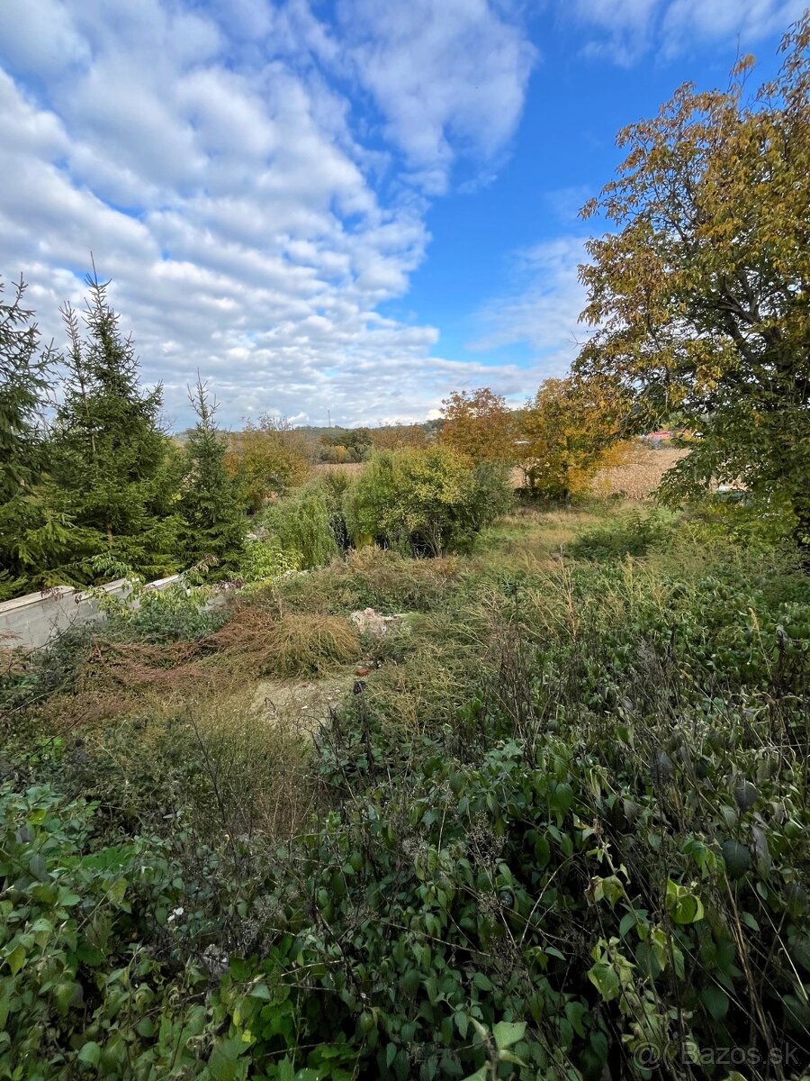 Starší rodinný dom Levice, prímestská časť Kalinčiakovo - 2