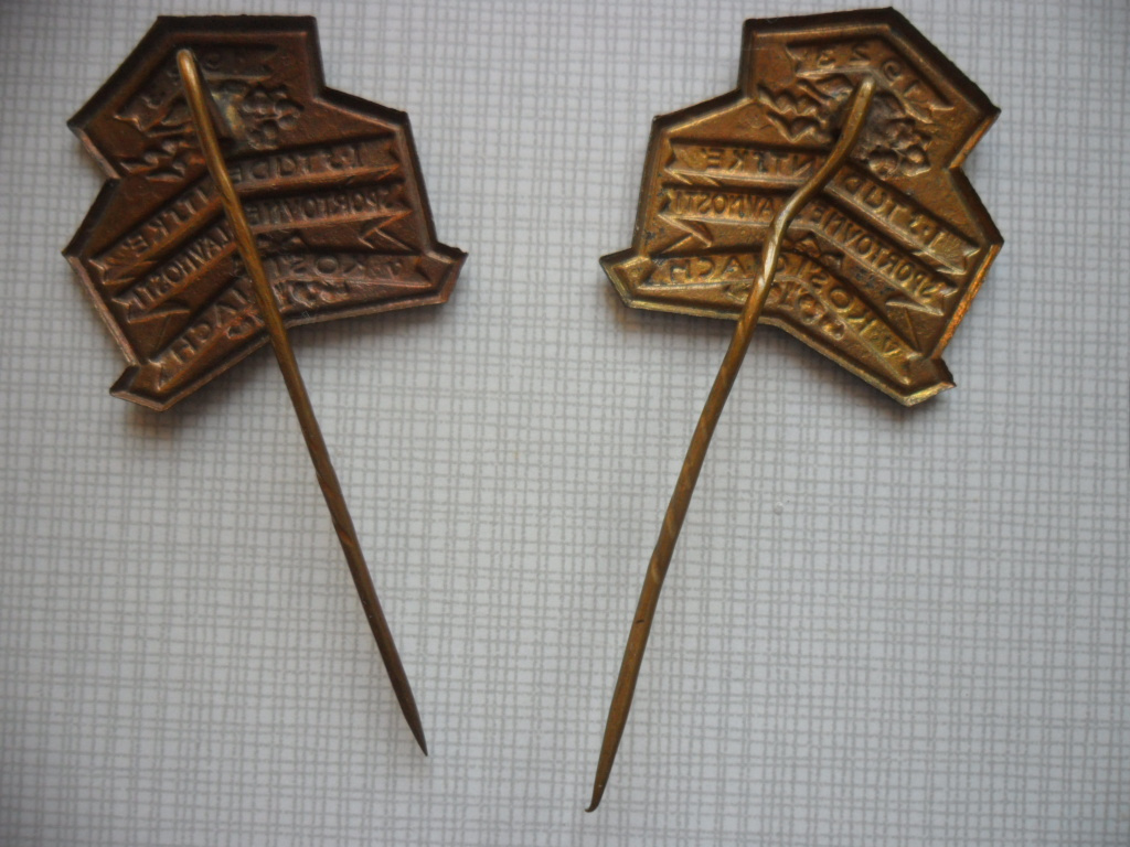 Historický bronzový odznak - Košice 1923 - 2