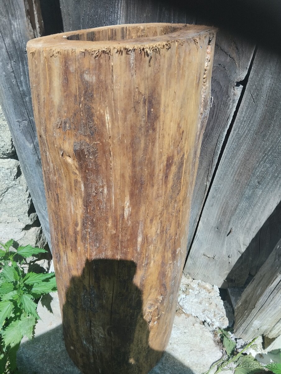 Predám kmeň stromu - 2