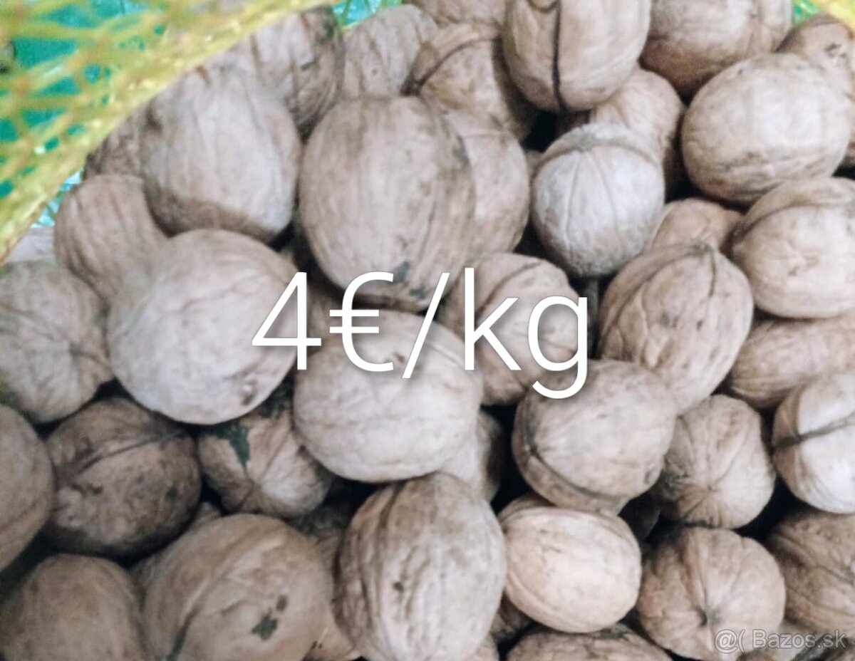 Slovenské vlašské orechy - 2