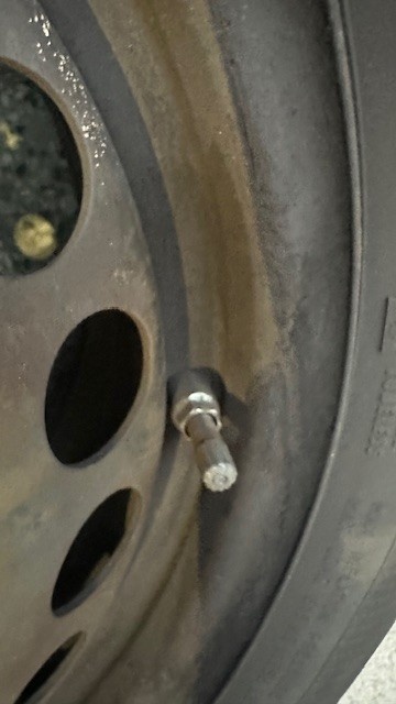 Predám plechové disky obute zimne pneumatiky - 2