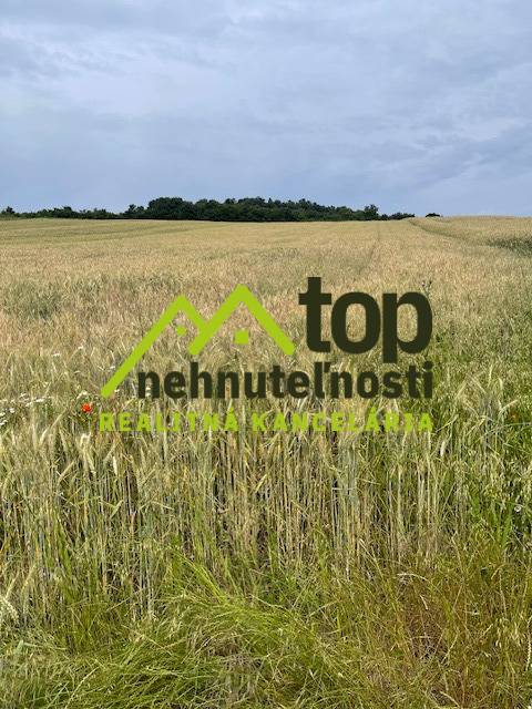 Chrabrany - pozemok vo velkosti 7664m2. pestovanie, záhrada, - 2