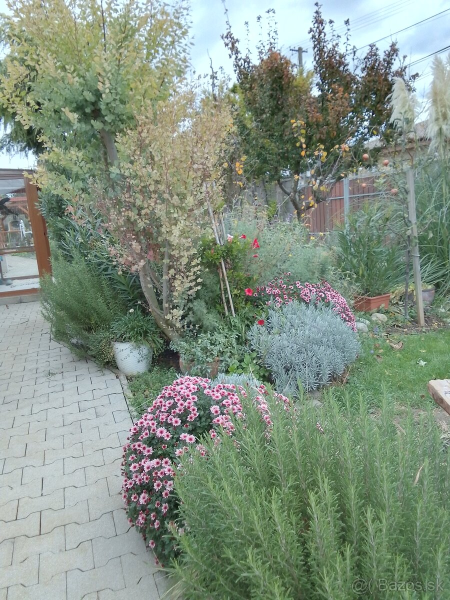 Harmonický domov pre tvorivé duše - 2