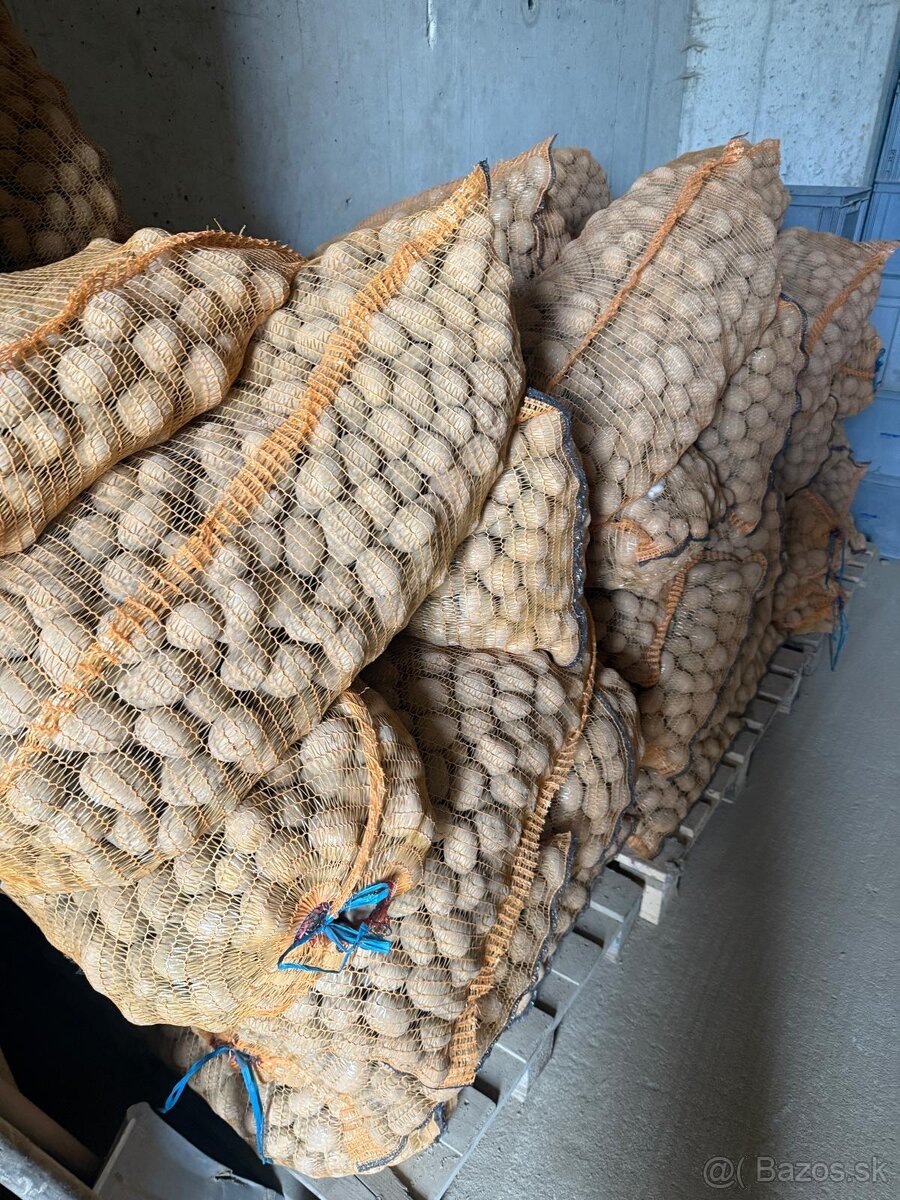 predám sadbové zemiaky - 2