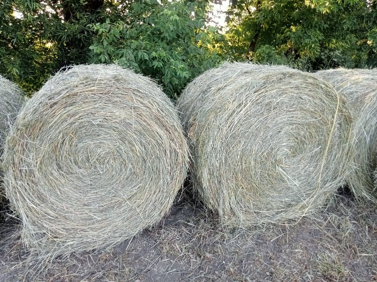 Predám seno - 2