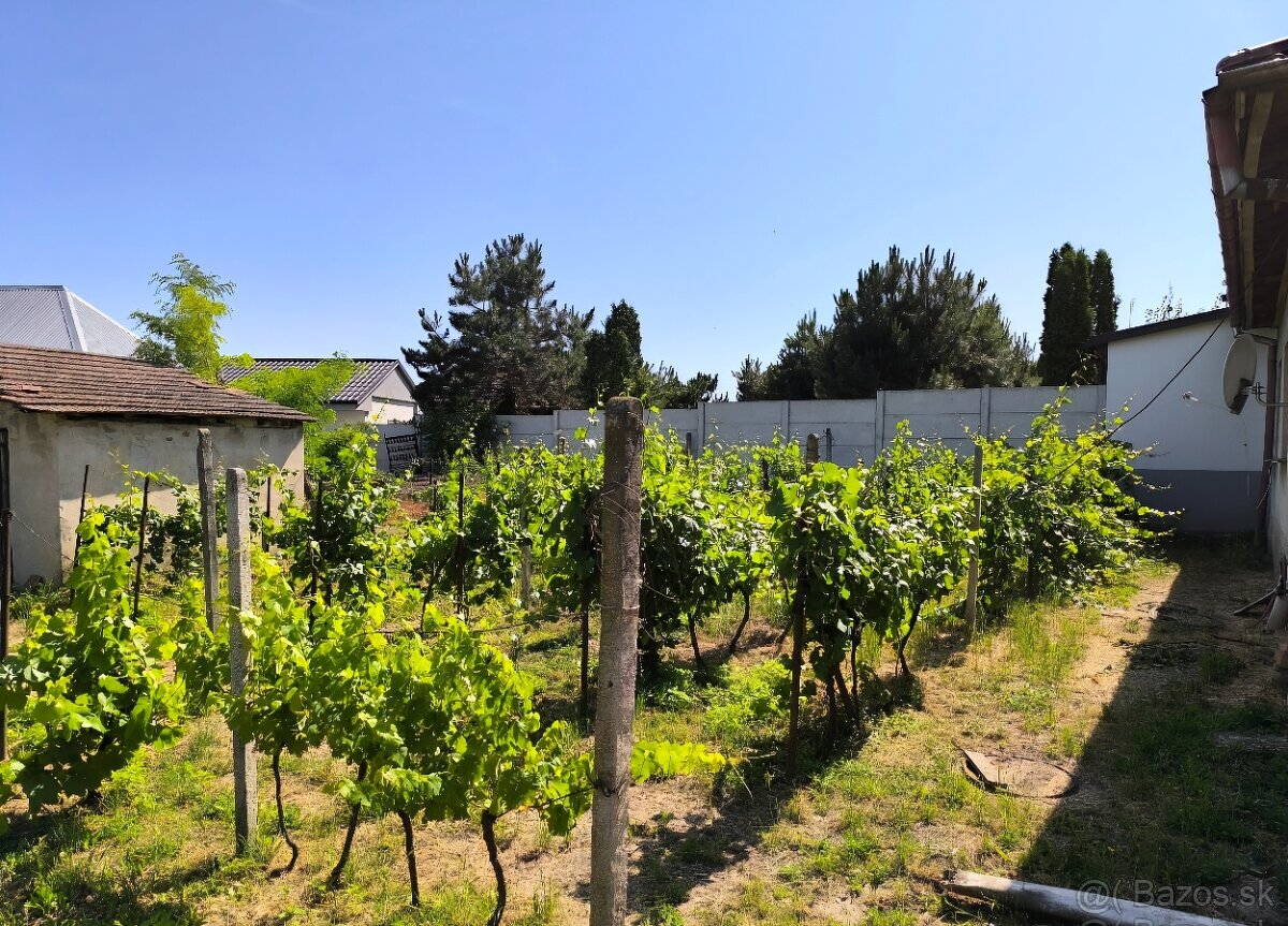 Na predaj 4 izbový rodinný dom-Dvorníky 10km od Hlohovca - 2