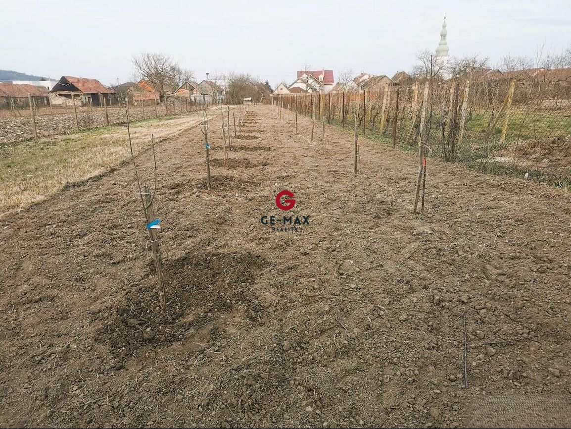 Na predaj pozemok- Malý Horeš, okres Trebišov - 2